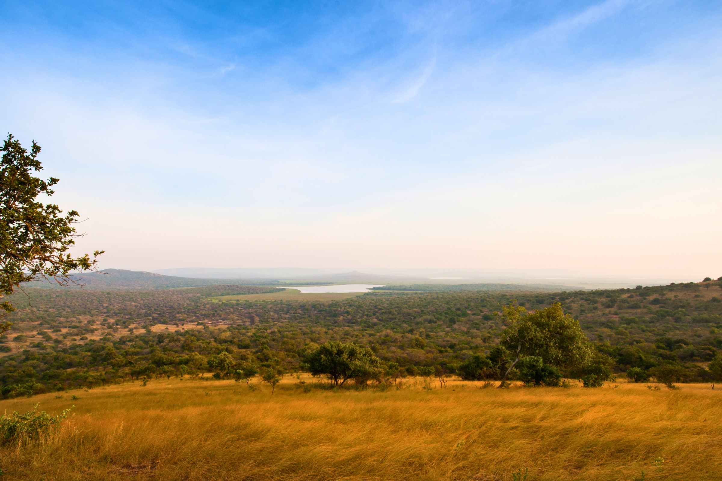 lake mburo national park.webp